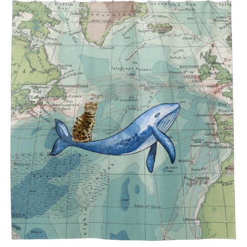 Cat Riding Whale Shower Curtain Zazzle