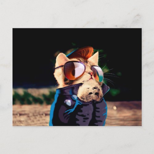 Cat rocker dressed up in leather jacket postcard
