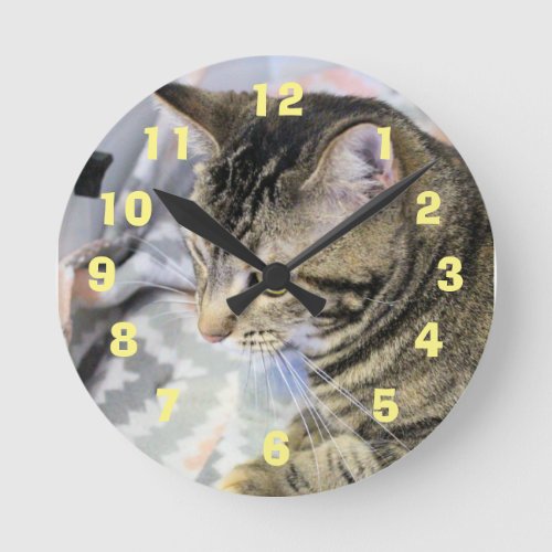 Cat Round Clock