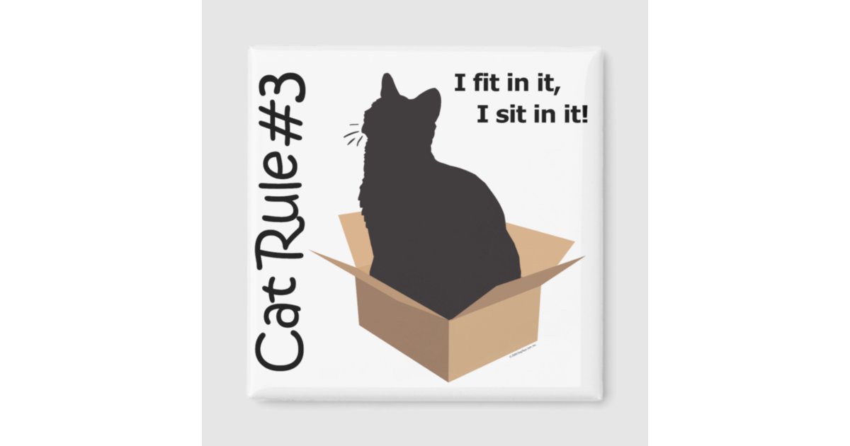 Cat Rule #3 Magnets | Zazzle