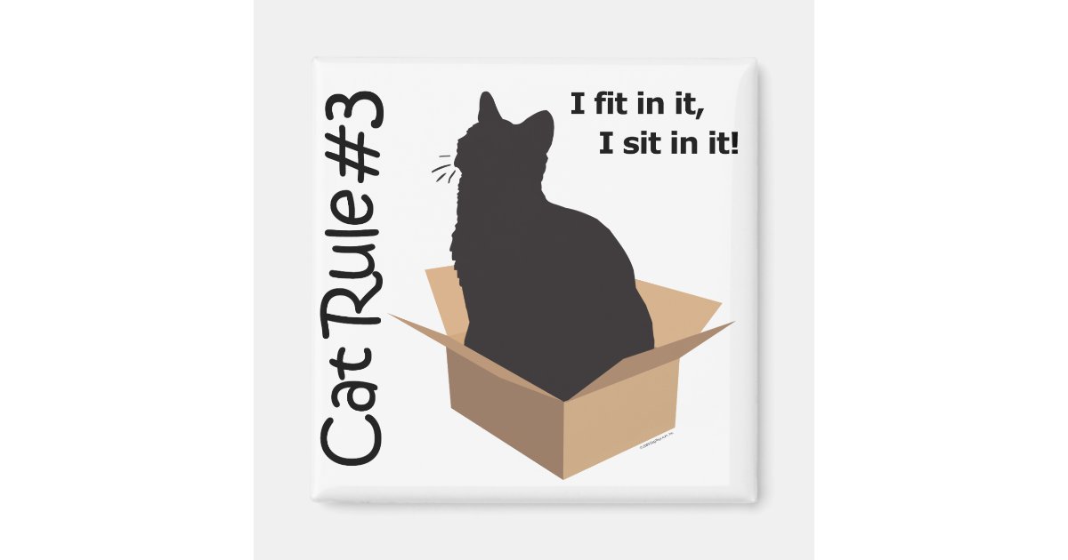 Cat Rule 3 Magnets Zazzle Cat Rule 3 Magnets Zazzle