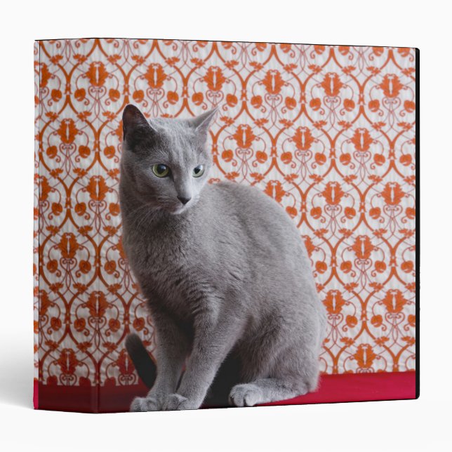 Cat (Russian blue) and wallpaper background Binder (Front/Spine)