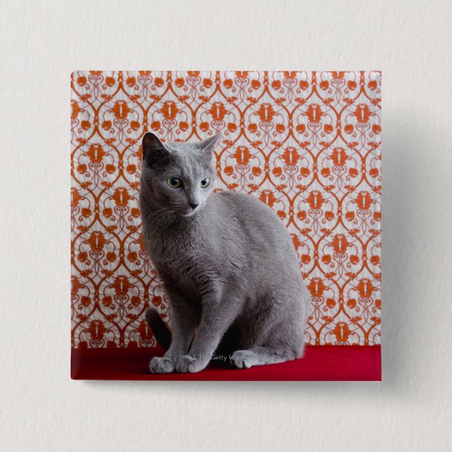 Cat (Russian blue) and wallpaper background Button (Front)