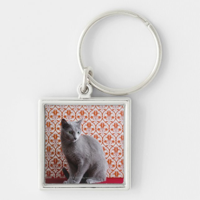 Cat (Russian blue) and wallpaper background Keychain (Front)