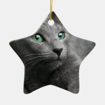 Cat Russian Blue Look Eyes Gray Pet Ceramic Ornament by Everstock at Zazzle