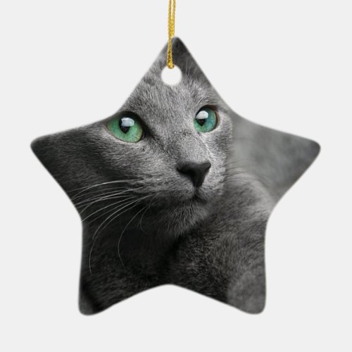 Cat Russian Blue Look Eyes Gray Pet Ceramic Ornament