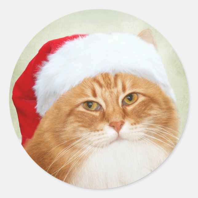 Cat Santa Claus Classic Round Sticker (Front)