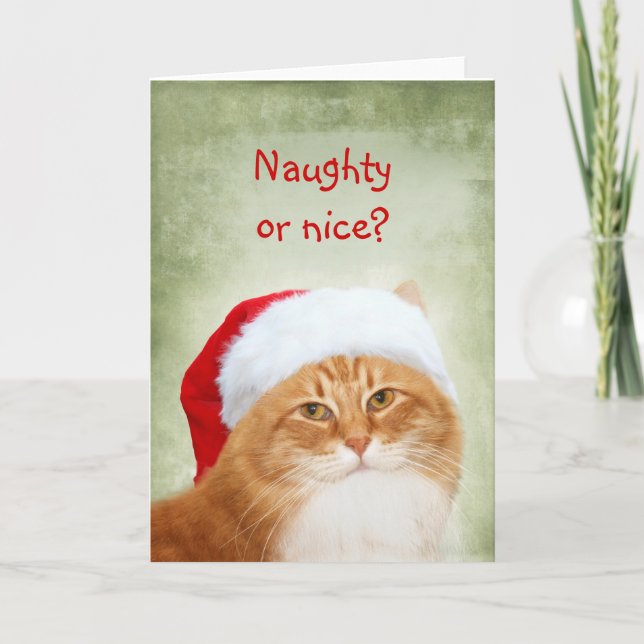 Cat Santa Claus Holiday Card (Front)