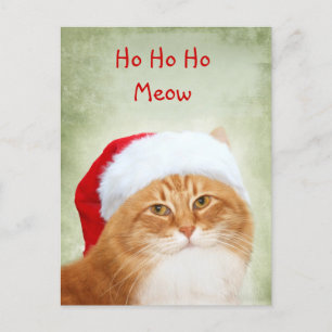 Cat Santa Claus Holiday Postcard