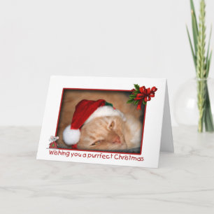 Cat Santa Hat Christmas Greeting Card