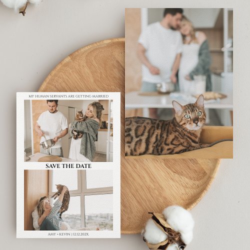 Cat Save the Date Humans Getting Married Wedding