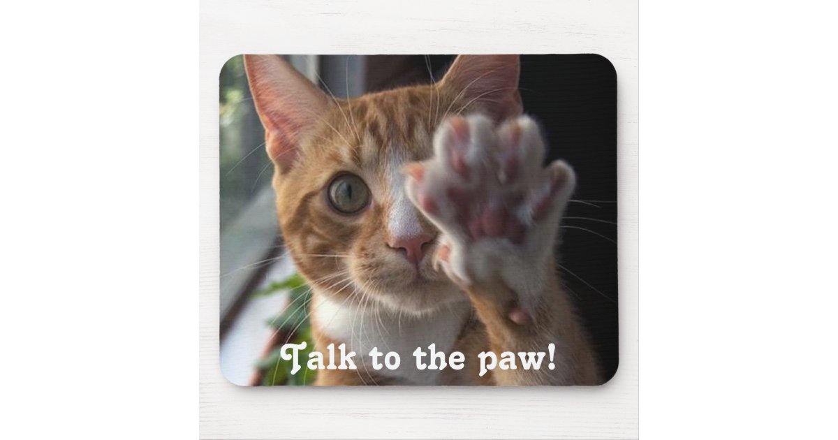 cat saying Talk to the paw! Mouse Pad Zazzle