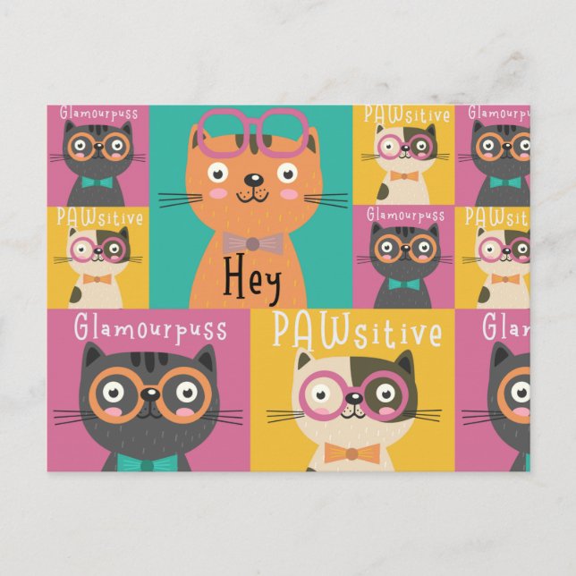 Cat Says Hey Funny Memes Postcard (Front)