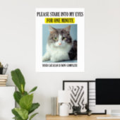 Cat Scan Poster | Zazzle