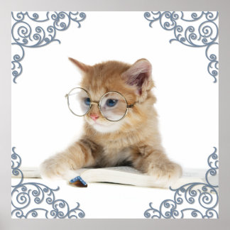 Cat Scholar Poster