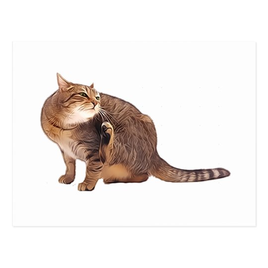 Cat Scratch Fever Postcard