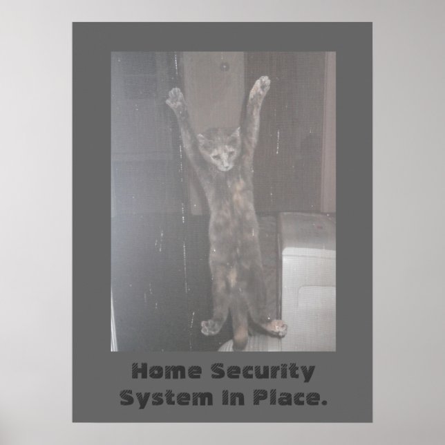 Cat Security Poster (Front)