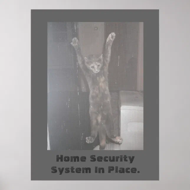 Cat Security Poster | Zazzle