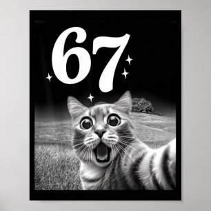 Cat Selfie With 67 Meme Funny Cats Graphic For Men Poster