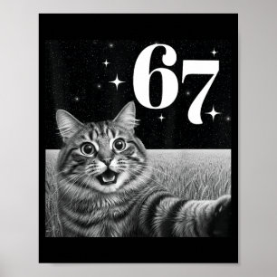 Cat Selfie With 67 Meme Funny Cats Graphic For Men Poster