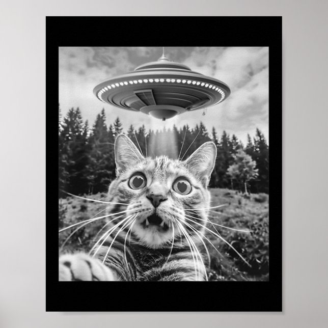 Cat Selfie With Alien Ufo Funny Cat For Men Women  Poster (Front)