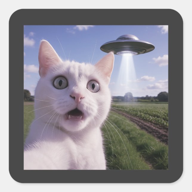 Cat Selfie With Alien Ufo Square Sticker (Front)