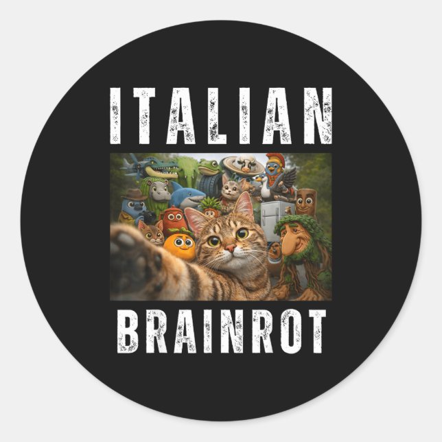 Cat selfie with funny italian brainrot meme classic round sticker (Front)