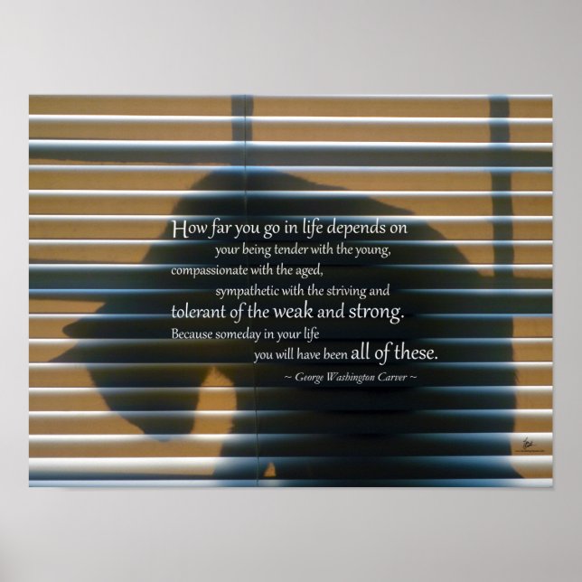 Cat Shadow with Quote Poster Prints (Front)