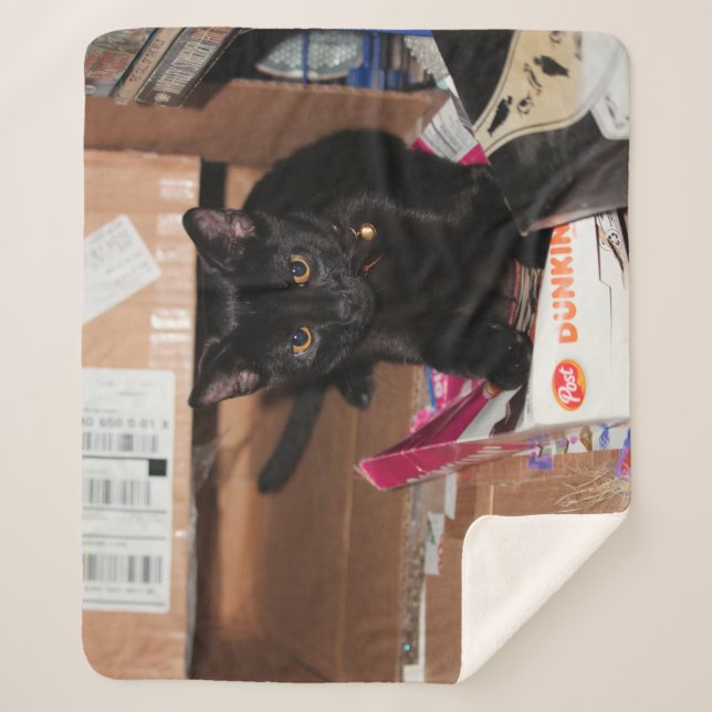 Cat  sherpa blanket (Front)