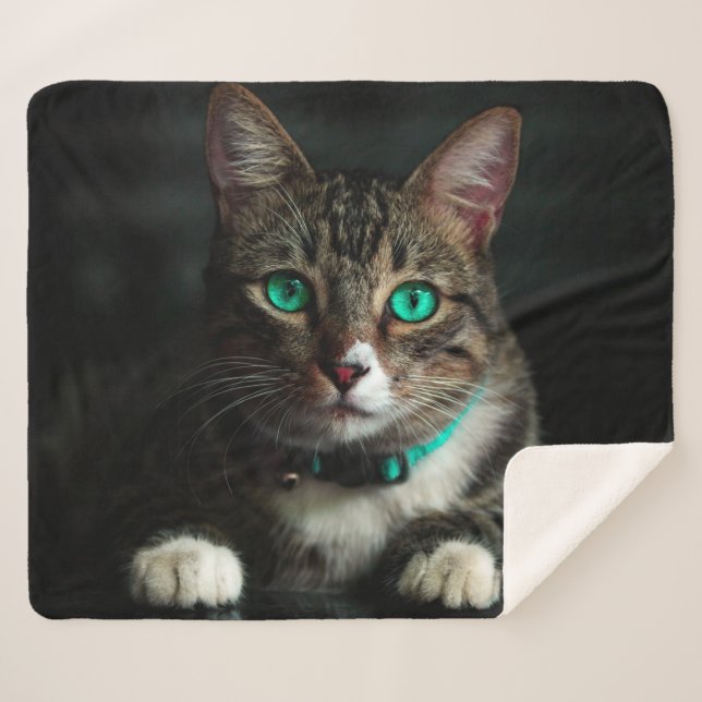 Cat Sherpa Blanket (Front (Horizontal))
