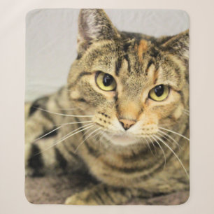Cat sherpa blanket