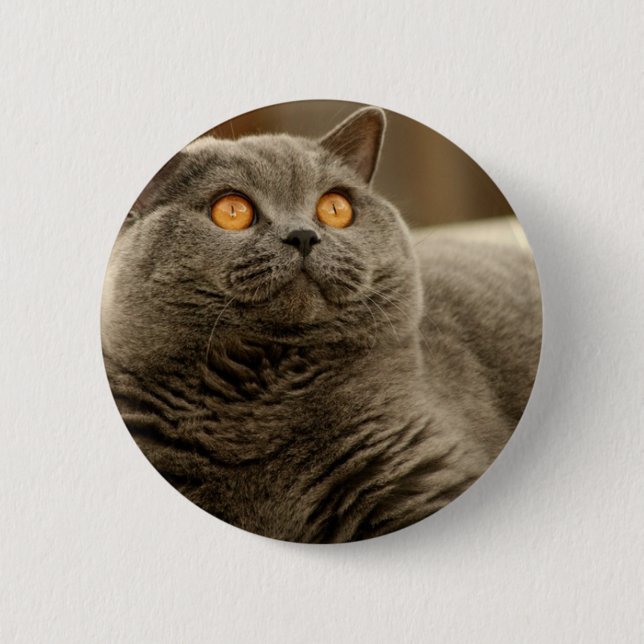 Cat: Shorthair Cat Button (Front)