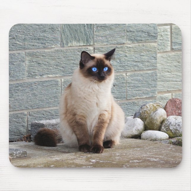 Cat, Siamese, Animal Mouse Pad (Front)