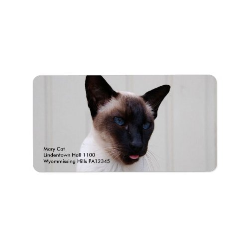 Cat Siamese Portrait Label