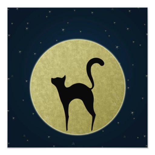 Cat silhouette and moon Photo print | Zazzle