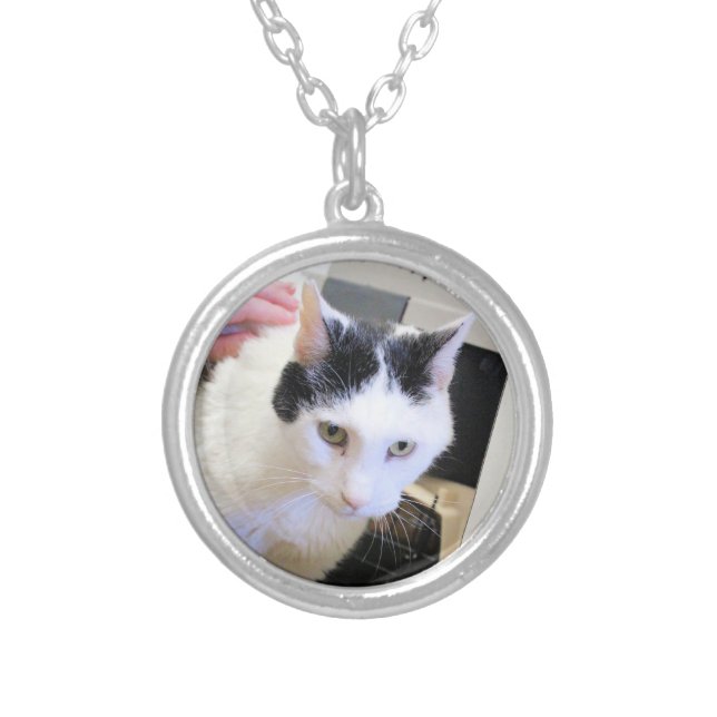 Cat Silver Plated Necklace (Front)