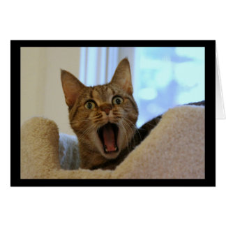 Unique 60 Cat Singing Happy Birthday Card