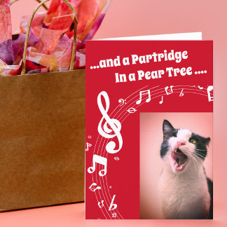 Cat SINGING Humor Song Red Christmas Card