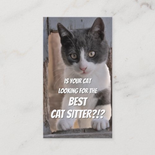 Cat sitters funny cat care pet care service busine business card