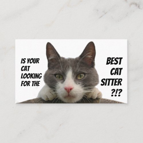 Cat sitters funny cat care pet care service busine business card