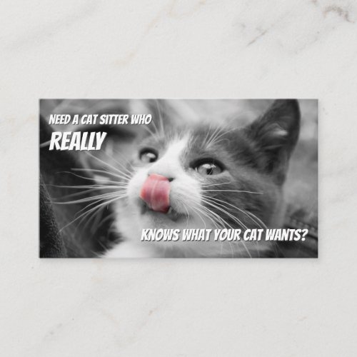Cat sitters funny cat care pet care service Insta Business Card