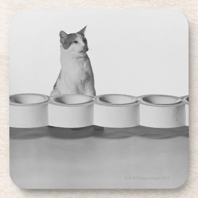 Cat sitting and licking beside pet bowl on white drink coaster (Front)