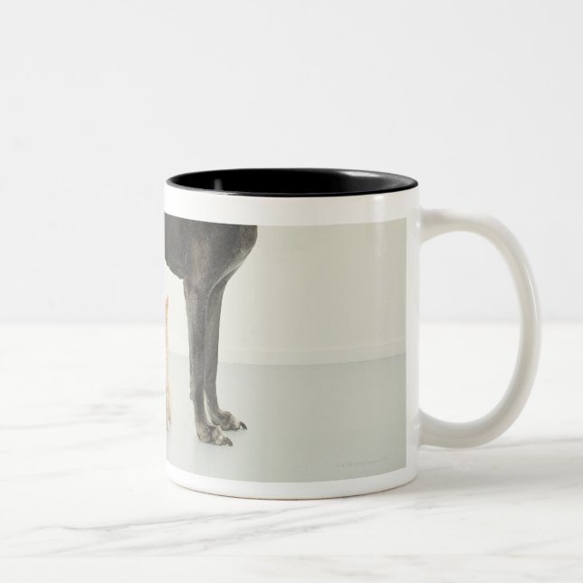 Cat sitting beneath Great Dane Two-Tone Coffee Mug (Right)