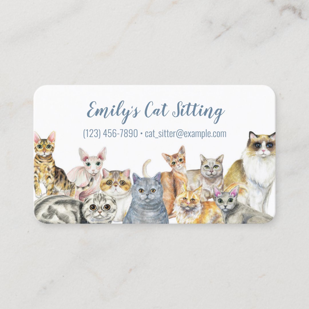 Cat Sitting Business Card Zazzle
