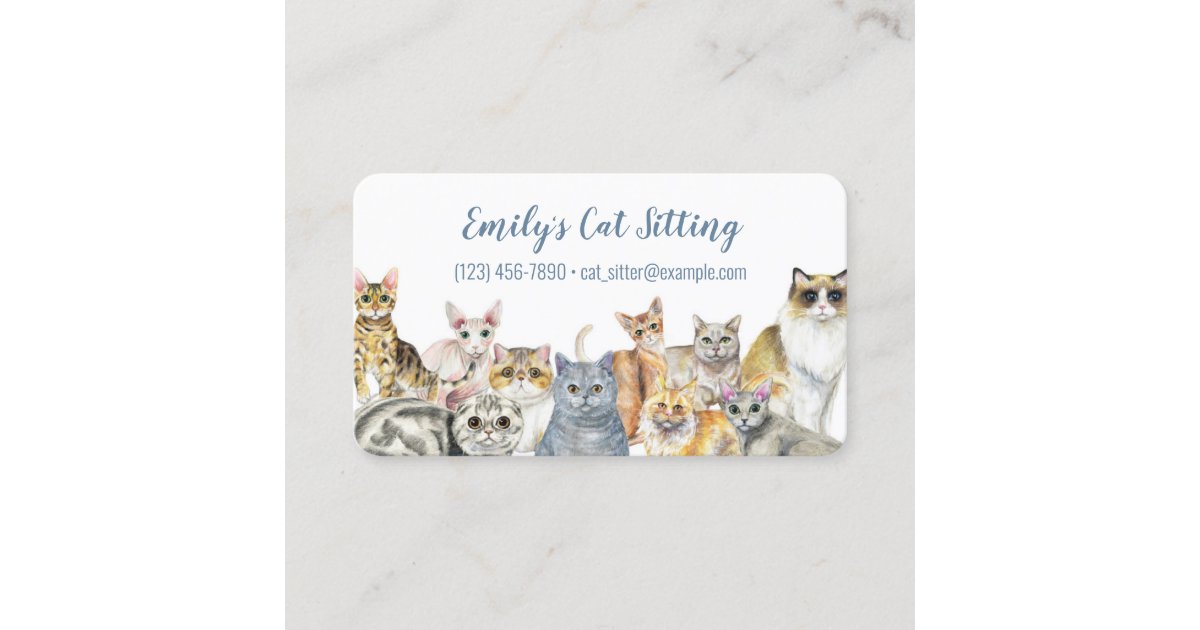 Cat Sitting Business Card Zazzle