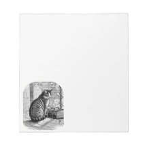 Cat Sitting by Window with Book