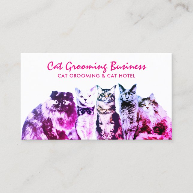 Cat Sitting For Senior Cats Business Card (Front)