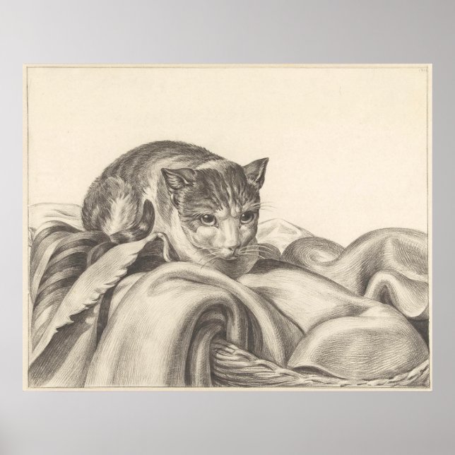 Cat sitting in a basket 1802 poster (Front)