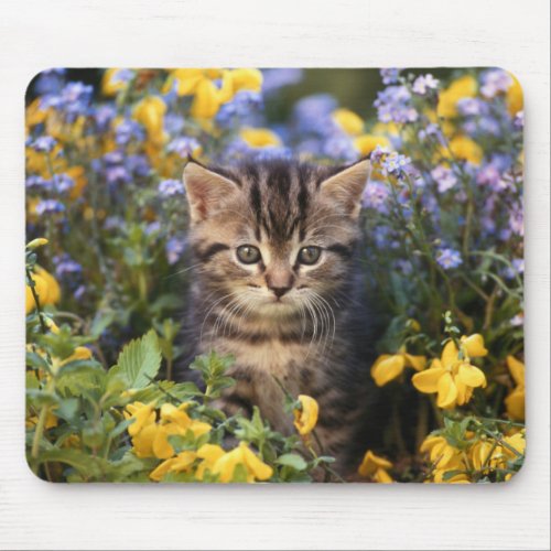 Cat Sitting In Flower Garden Mouse Pad