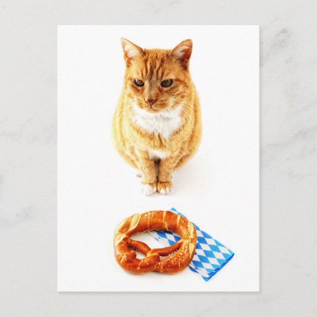 Cat sitting in front of Oktoberfest pretzel Postcard (Front)